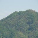 세중초등학교 이미지