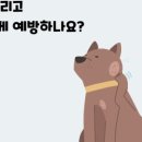 괜찮아동물병원 이미지