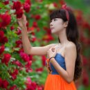 장미나라 이미지