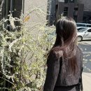 시티룩 네이버블로그