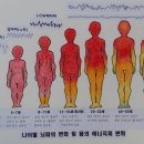 늙지않는(노화방지)수련방법 ㅡ빛몸 수련반 3월 16일 및 3월 모임 안내 이미지