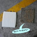 대동카클리닉 이미지