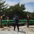 산림교육전문가 숲길등산지도사가 되는법 이미지