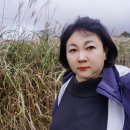 제주 동쪽 가볼 만한 곳 산굼부리: 입장료, 소요시간, 주차장 정보와 가을 억새 풍경