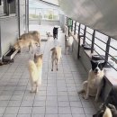 다나동물병원 이미지
