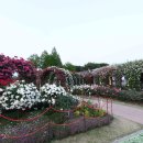 곡성-147 Daum카페