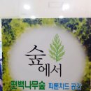 보정동영어학원 보정동영어도서관 죽전와이즈리더영어독서전문학원 영어논술수업 후기