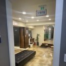 명동라라의원 이미지