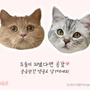 바이엔바이 이미지