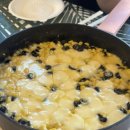 비바풀빌라 이미지