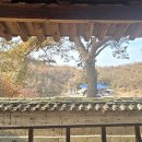 어필영정각(御筆影幀閣) 이미지