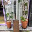 유성실버복지센터 1층 이미지