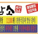 함평어린암소 이미지
