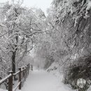 꿈의세계 이미지