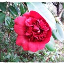 초록마을펜션 이미지