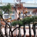 신반중학교 이미지