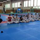 동탄용인대국가대표태권도 이미지