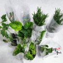 텃밭가꾸기 5월 작물 모종키우기 성동가드닝센터 이론수업 청년모종 마이플랜트