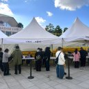 시노래 페스티벌 | COLOR in MUSIC FESTIVAL 컬러인뮤직페스티벌 후기 리뷰 직캠 공연