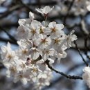 아하유한회사 이미지