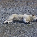 전국언론노동조합경남도민일보지부 이미지