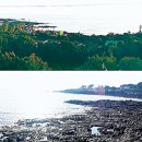 주식회사 태흥기업 이미지