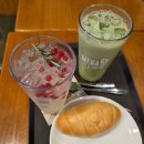 뽕노래연습장 이미지