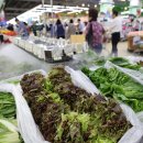 하나로마트(용안) 이미지