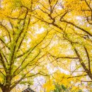 경섭농장 이미지