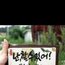 °°정은지ㅡ흰수염고래 ᆢᆢᆢᆢ송유한 일상의 추억°° 이미지