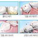 나이스워시 이미지