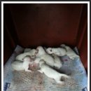 삼공주농장 이미지