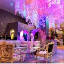 살롱드 오픈주 이미지