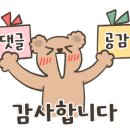 스파이더코인노래연습장 이미지