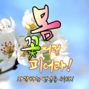 삼순이의 사직서, 이미지