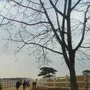 으뜸목장 이미지