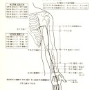 2014년 10월달 수궐음심포경 유주및 경혈 주치 이론및 골반교정 실기위주의 임상시술세미나 이미지