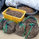 구현농장 이미지