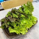 외옹치횟집 | 속초외옹치항맛집 인어횟집 활어 모듬회 후기