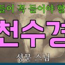 불자들이 꼭 드어야 할 천수경 / 성문 스님 이미지