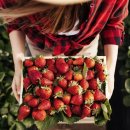 (주)호텔롯데롯데호텔월드 이미지