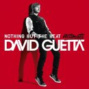 David Guetta - Without You (Ft. Usher) 이미지