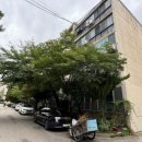 구로-구로-구로-2231 이미지