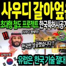 [해외감동사연]사우디 사막에 세계 신기록 한국 철도가 보여준 기적!한국이 시공한 철도 기술에 난리,전세계가 경악한 이유! 감동신호등 이미지