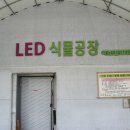 싱싱한 농업회사법인 주식회사 네이버블로그