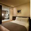 스테이 고집 이미지