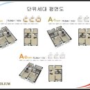 캐피토리움 네이버블로그
