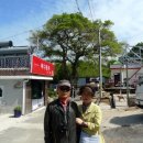 맹종죽테마공원 이미지