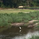 담양시장(담양교) 이미지