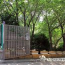 수정동희망마을 수직농장 사회적협동조합 이미지